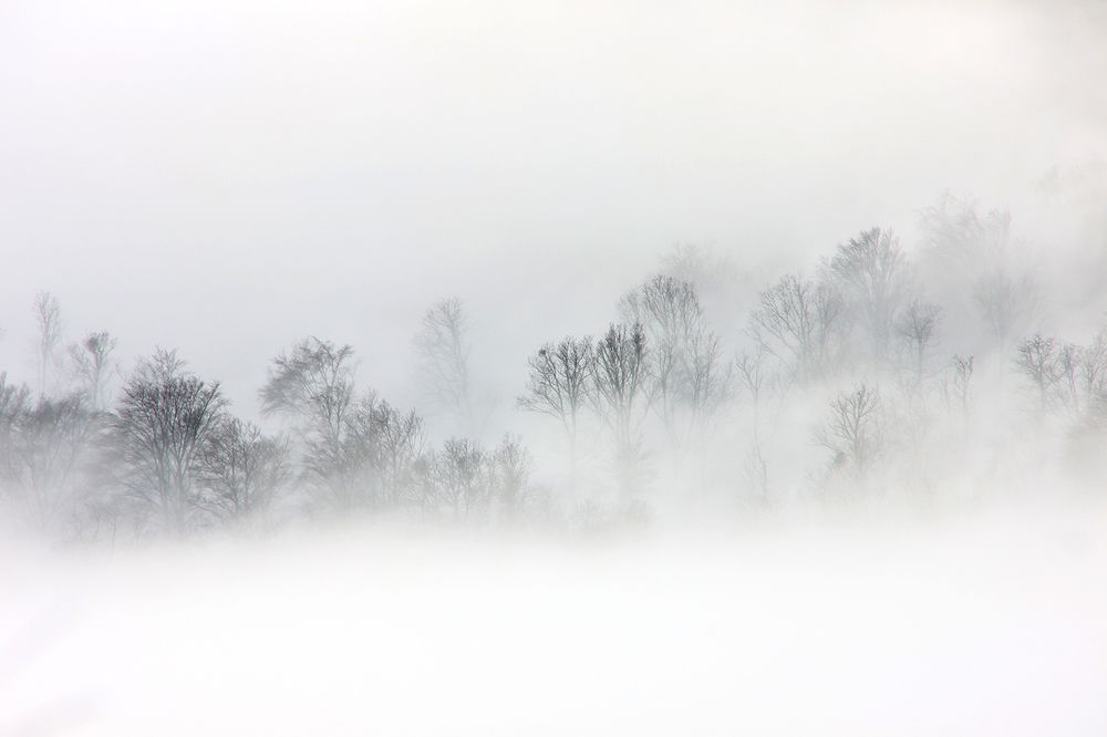 Photograph by Mirjana Spajić Buturac