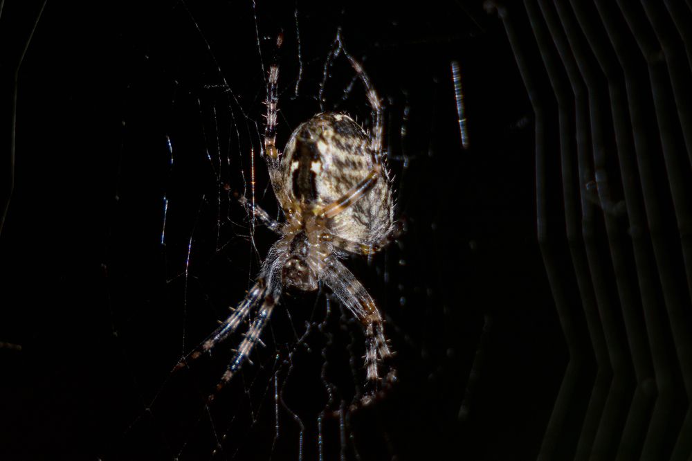 Photograph by Марина