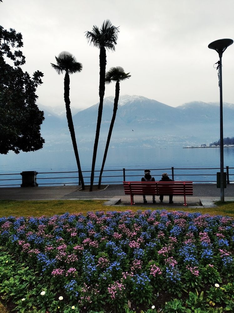 Photograph by Elena Chornobel