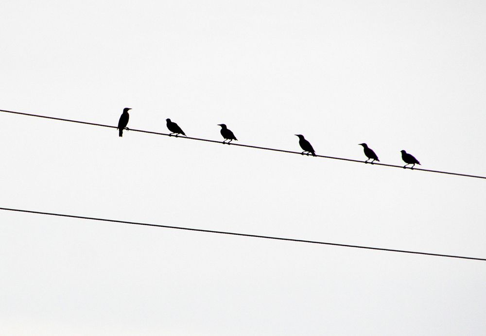 Photograph by Mirjana Spajić Buturac