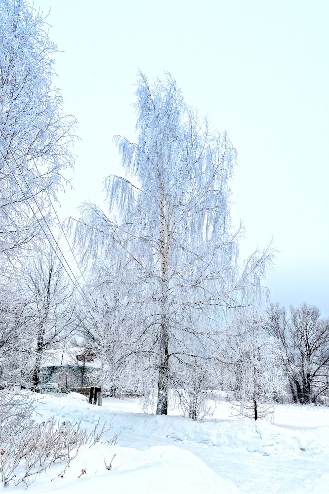 Photograph by Андрей Симаков