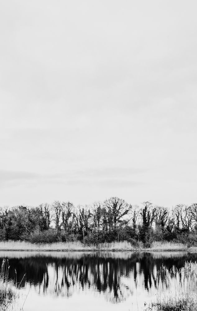 Photograph by Anna Wiercioch