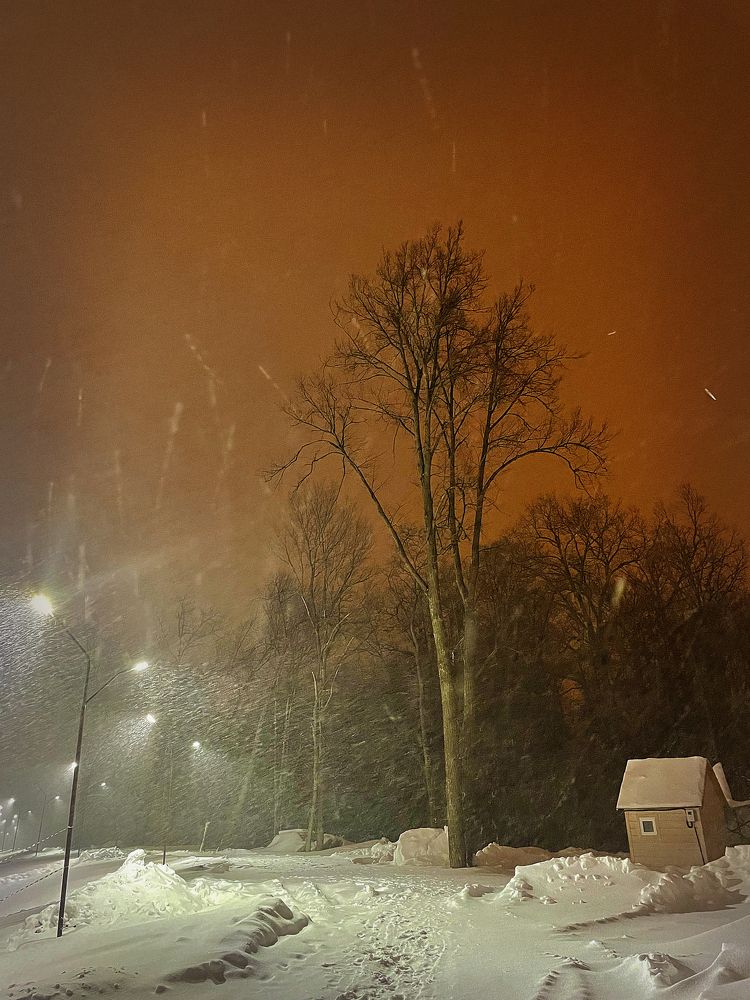 Photograph by Альбина Гильманова