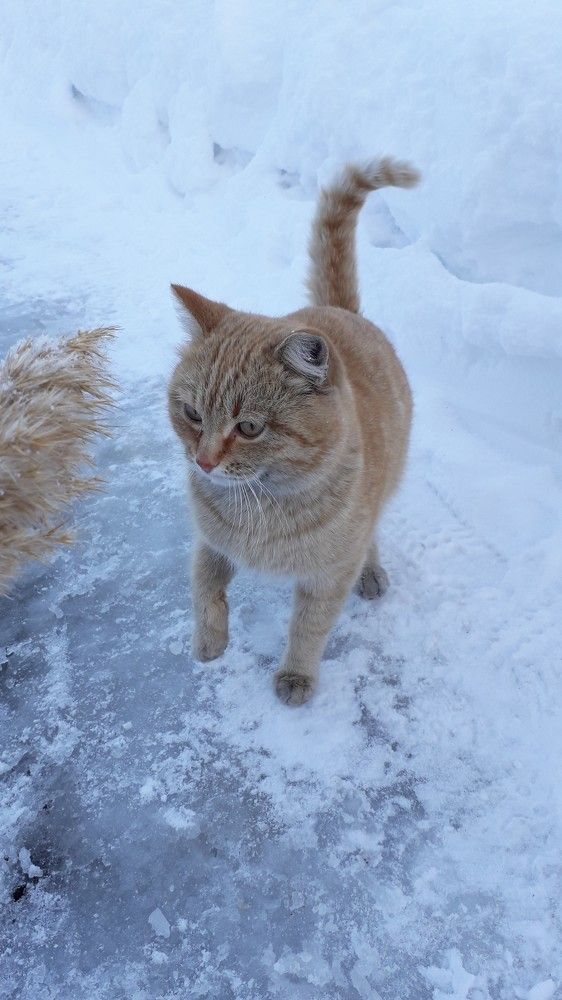 Photograph by Татьяна Дорожко