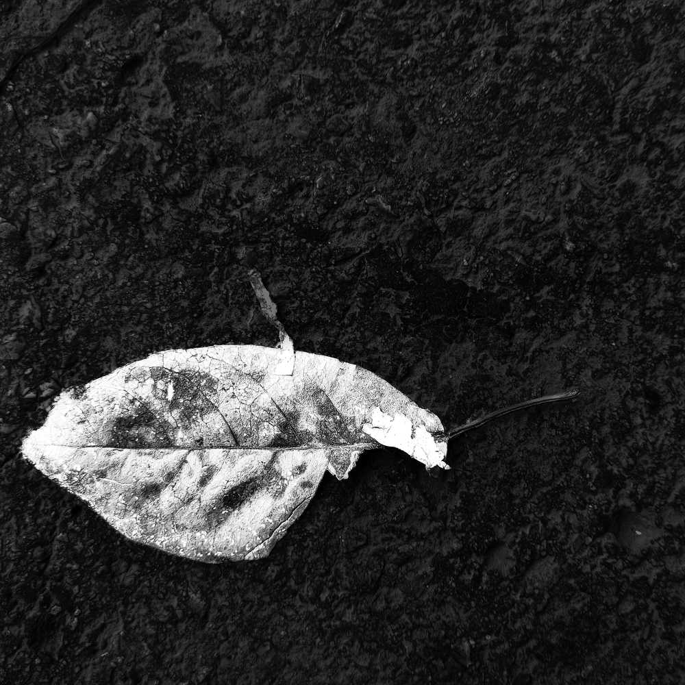 Photograph by Hassan Alawami