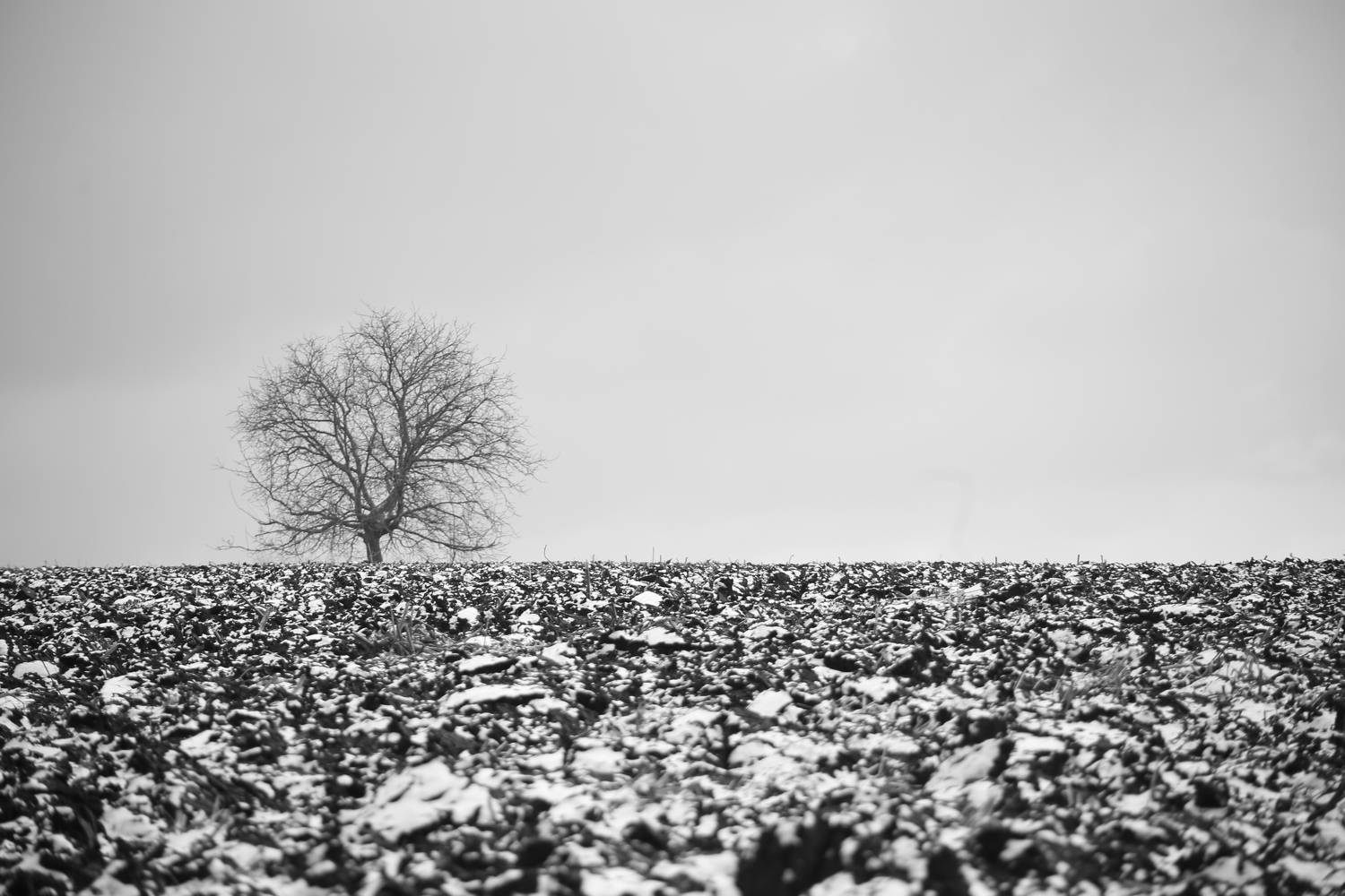 Black and white time