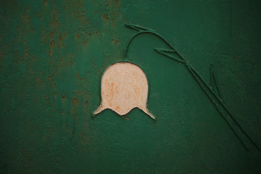 Photograph by Petru Cliofos