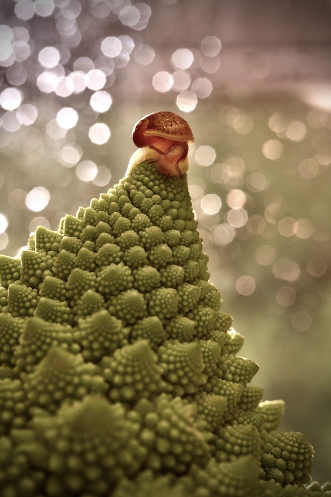 Photograph by Малика Маткарим