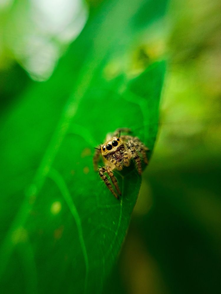 Photograph by Nizamudeen