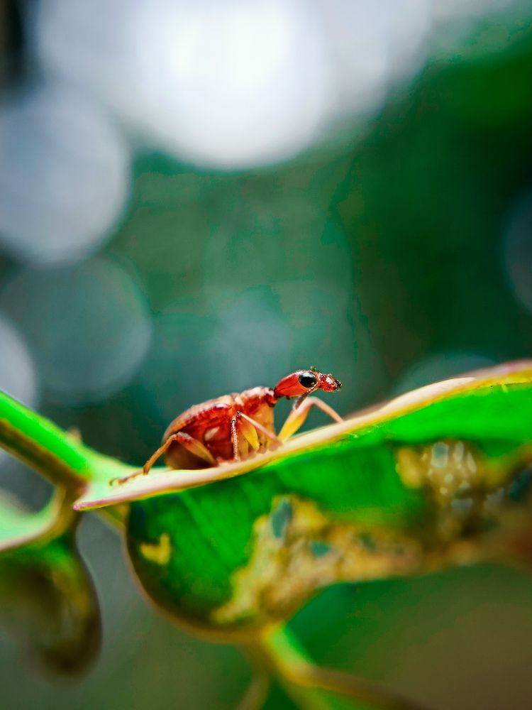 Photograph by Nizamudeen