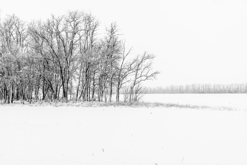 Photograph by Александр Пиленгас