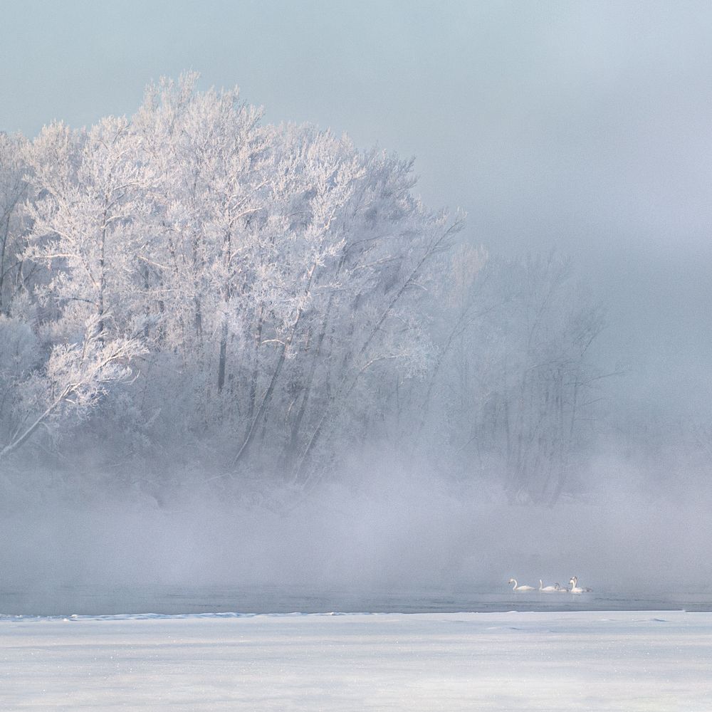 Photograph by Ирина Лаврова