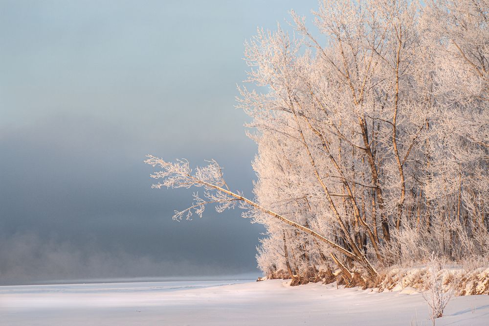 Photograph by Ирина Лаврова