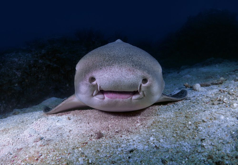 Photograph by daniele comin