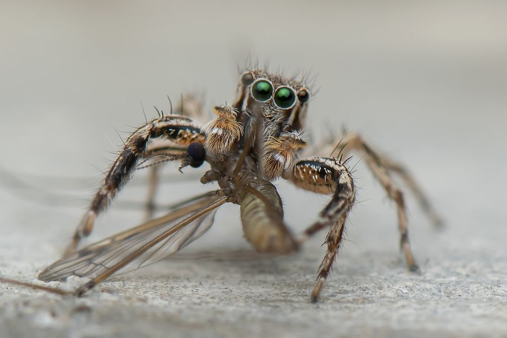 Photograph by Niin Abe