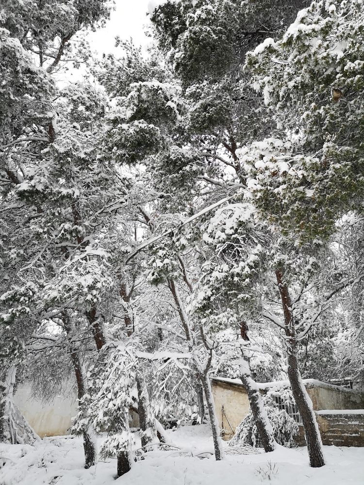 Snow in Athens - Greece