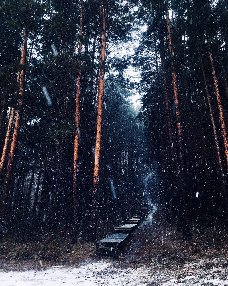 Фотография автора Наташа