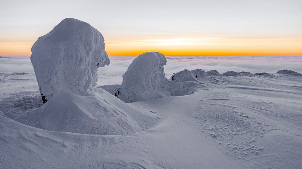 Photograph by Оксана Кузнецова