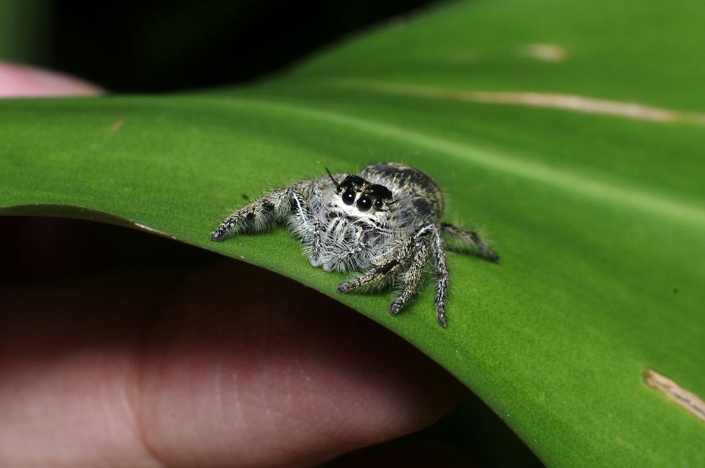 Photograph by Firly Febrian