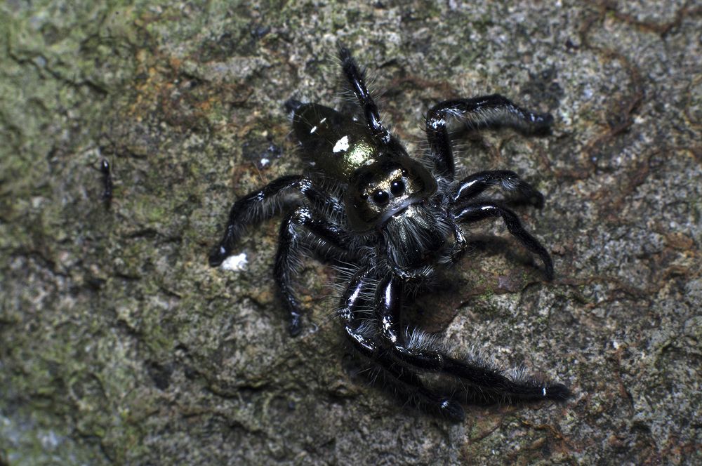 Photograph by Firly Febrian