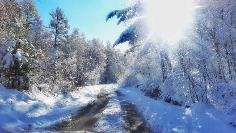 Photograph by Анастасия Дубинина