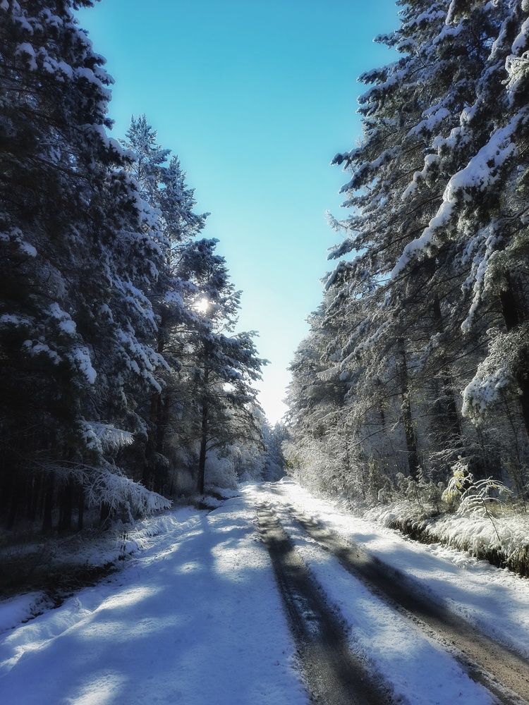 Photograph by Анастасия Дубинина