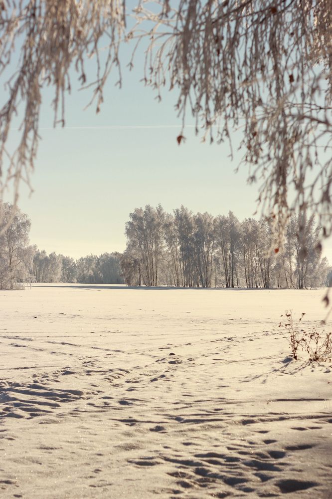 Photograph by Анна Дудкина