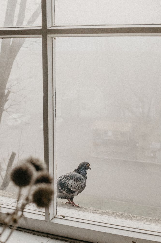 Фотография автора Oxana Yurasova