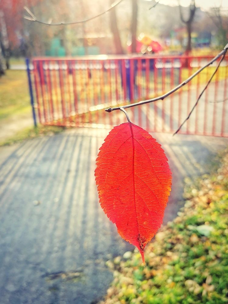 Последний лист