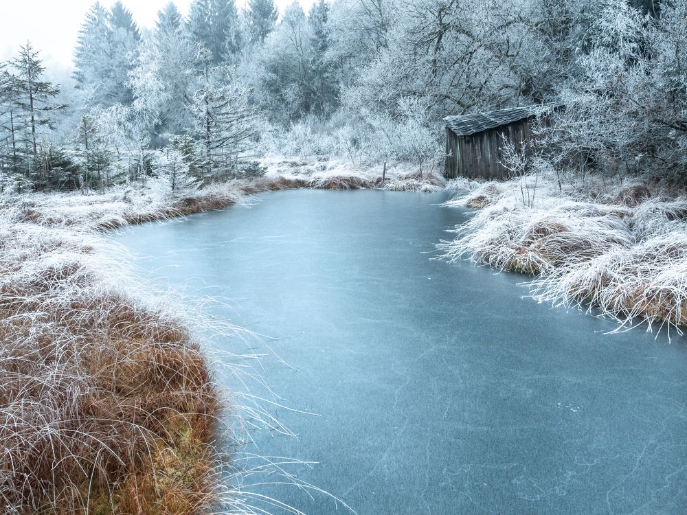 Photograph by Wiktor Trawinski Aberbach