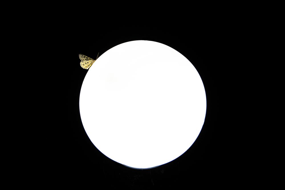 Photograph by Марина Бродт