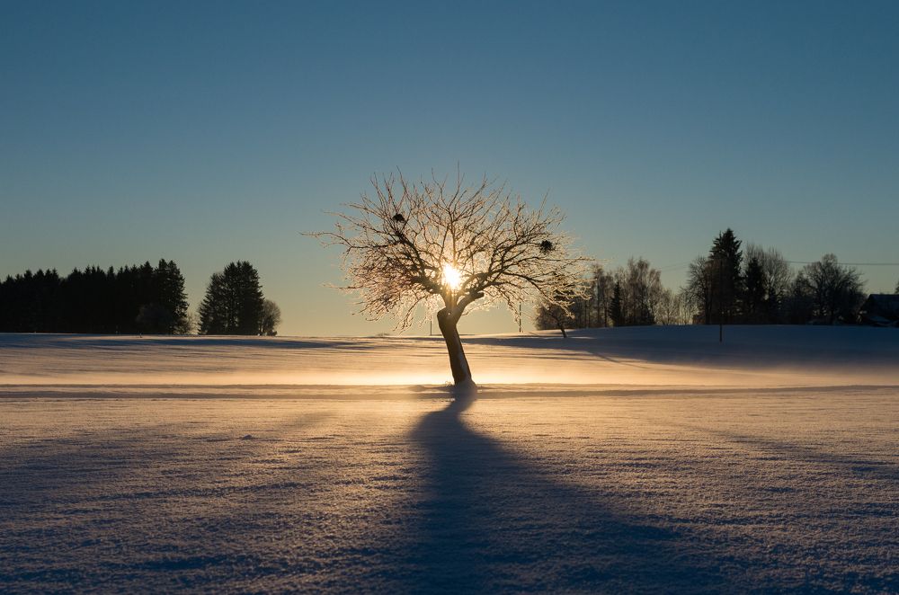 Photograph by Wiktor Trawinski Aberbach