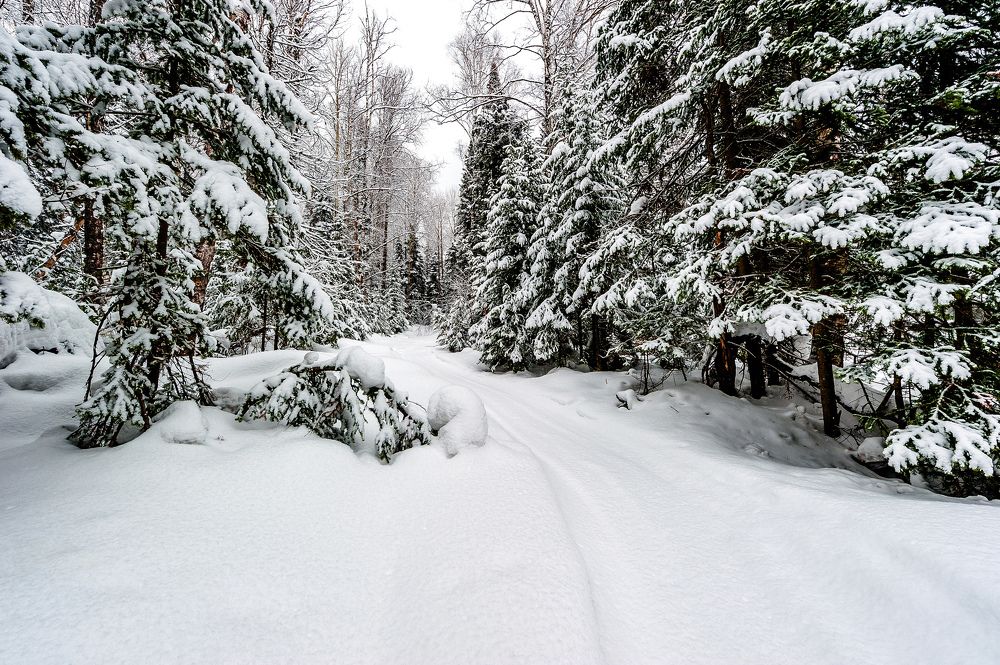 Photograph by Виктор Садырин