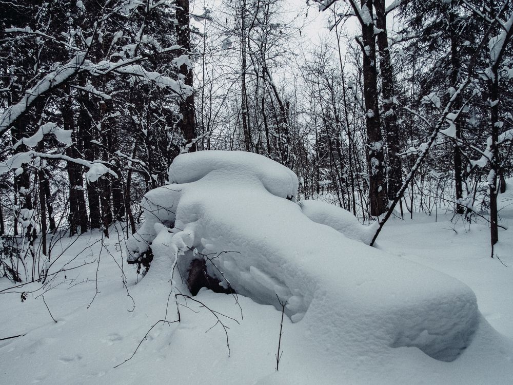 Фотография автора Евгений Величко