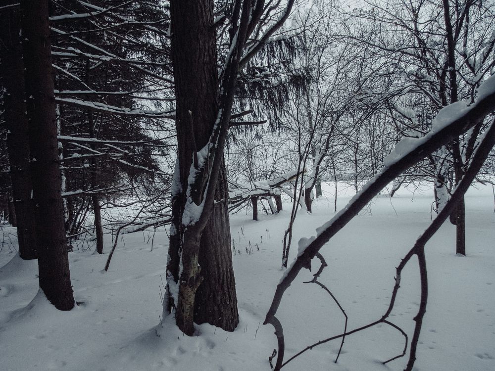 Фотография автора Евгений Величко