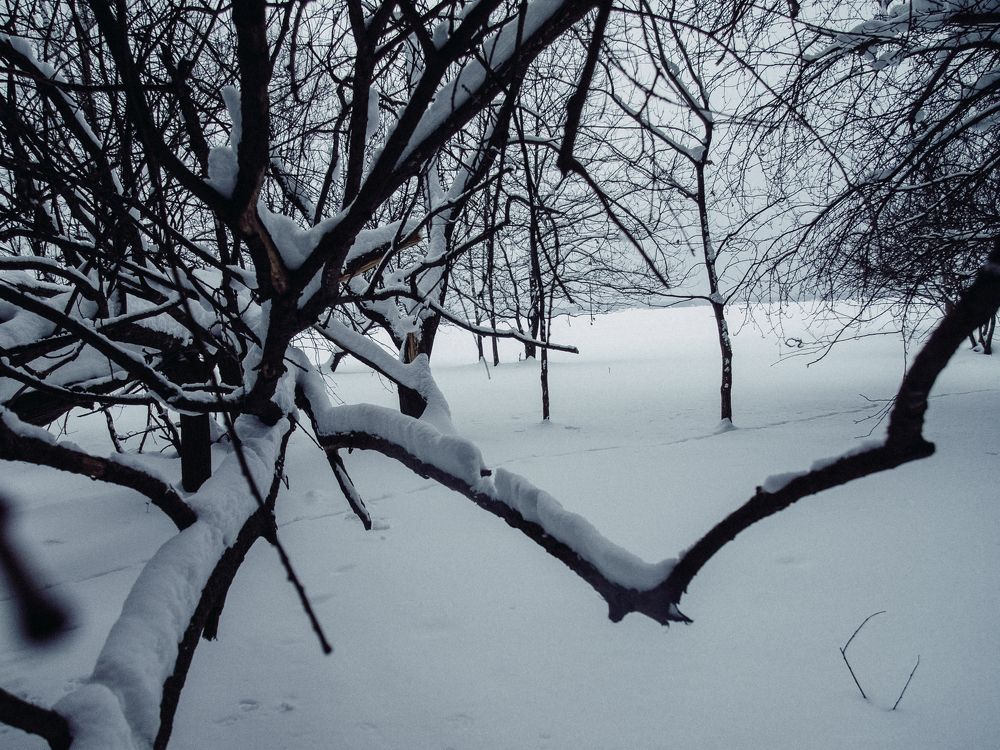 Фотография автора Евгений Величко