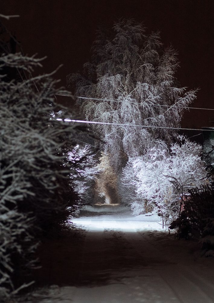 Фотография автора Евгений Величко