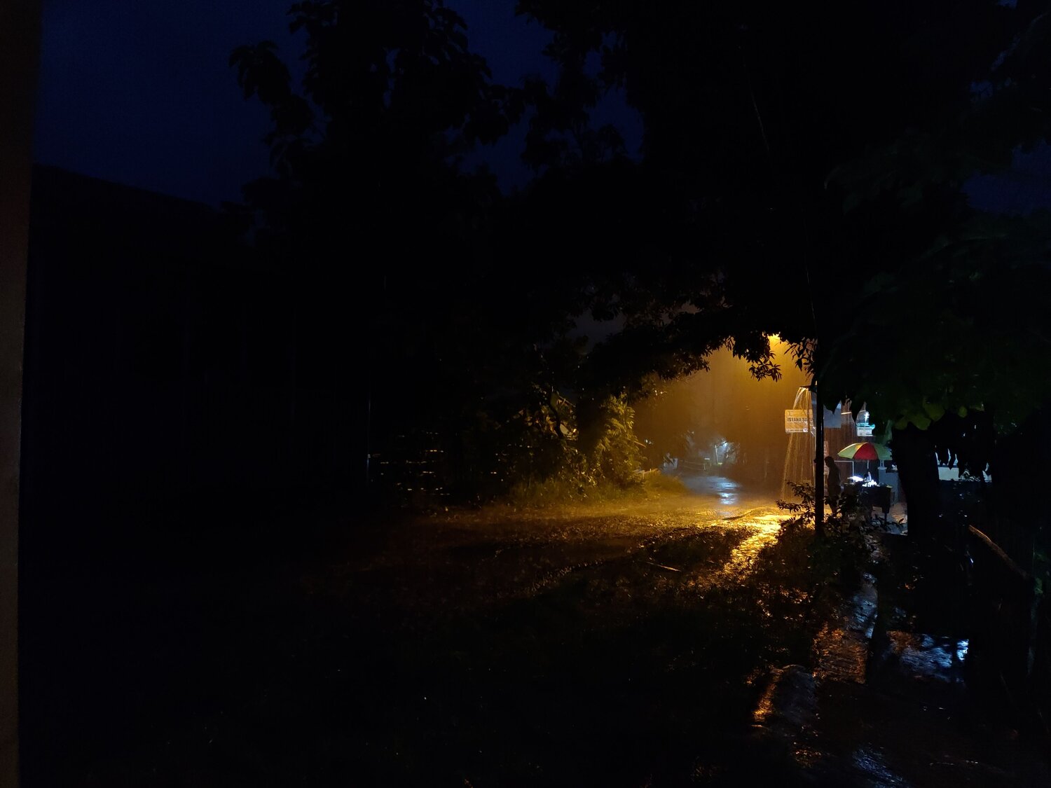Photo #7146277