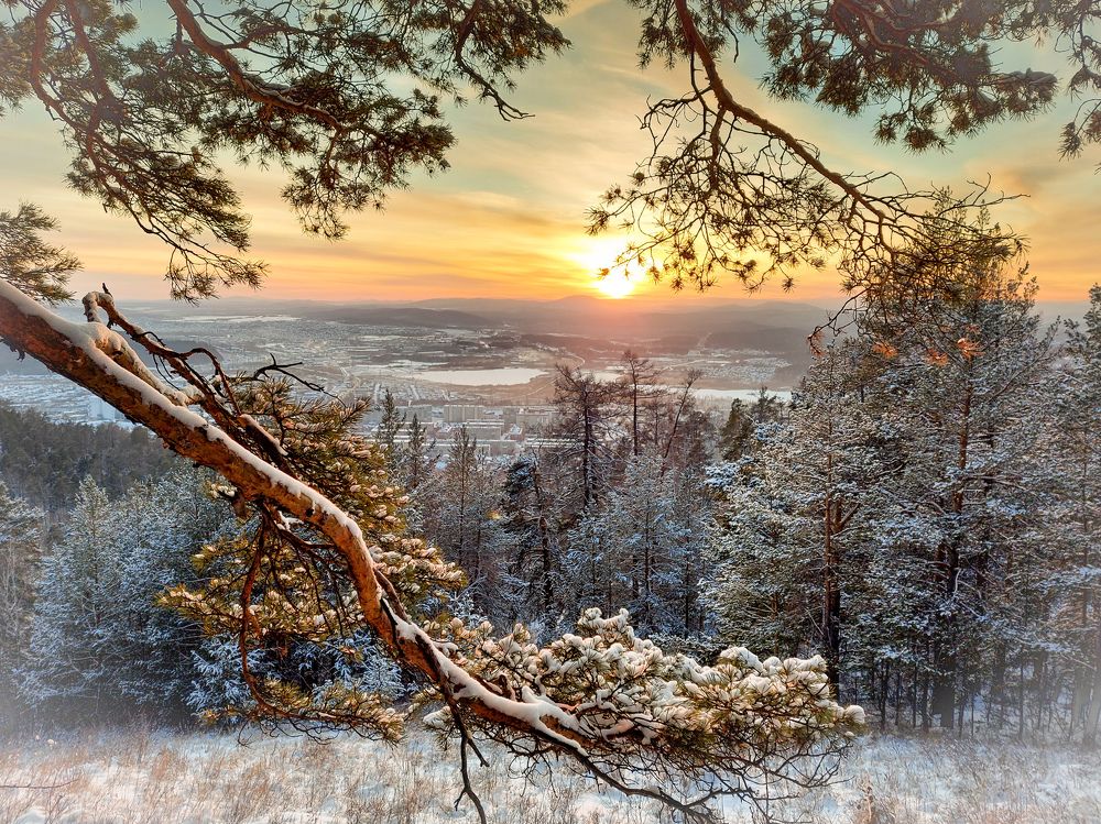 Photograph by Дмитрий Мальцев