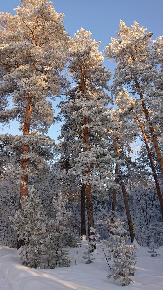 Photograph by Эдгар Амирханян