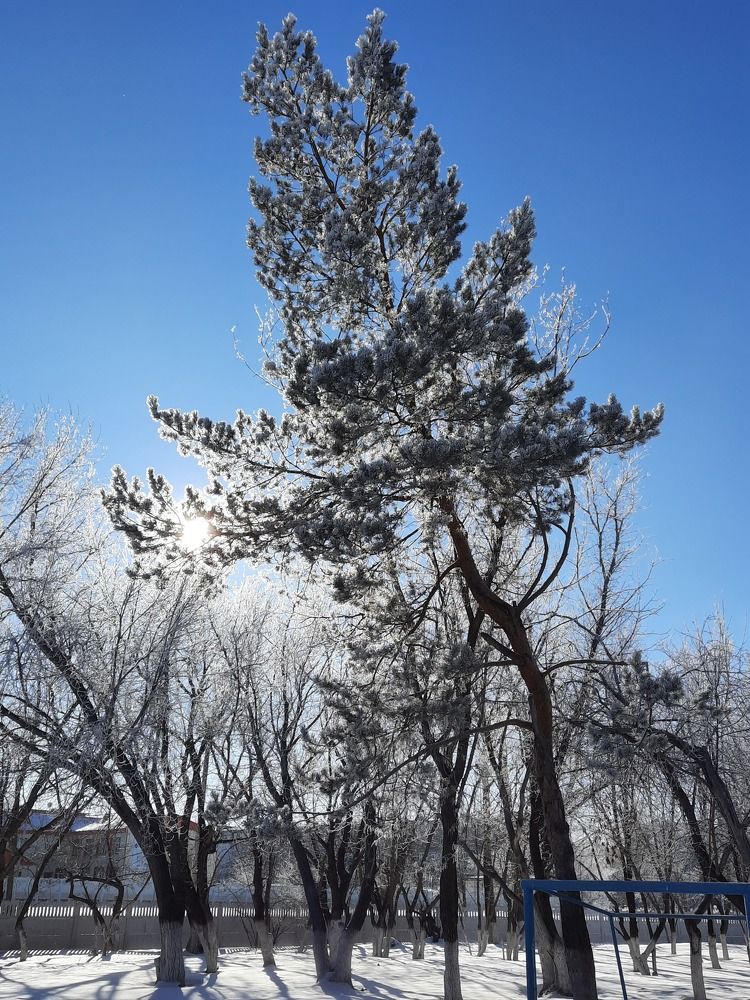 Photograph by Евгения Бродт