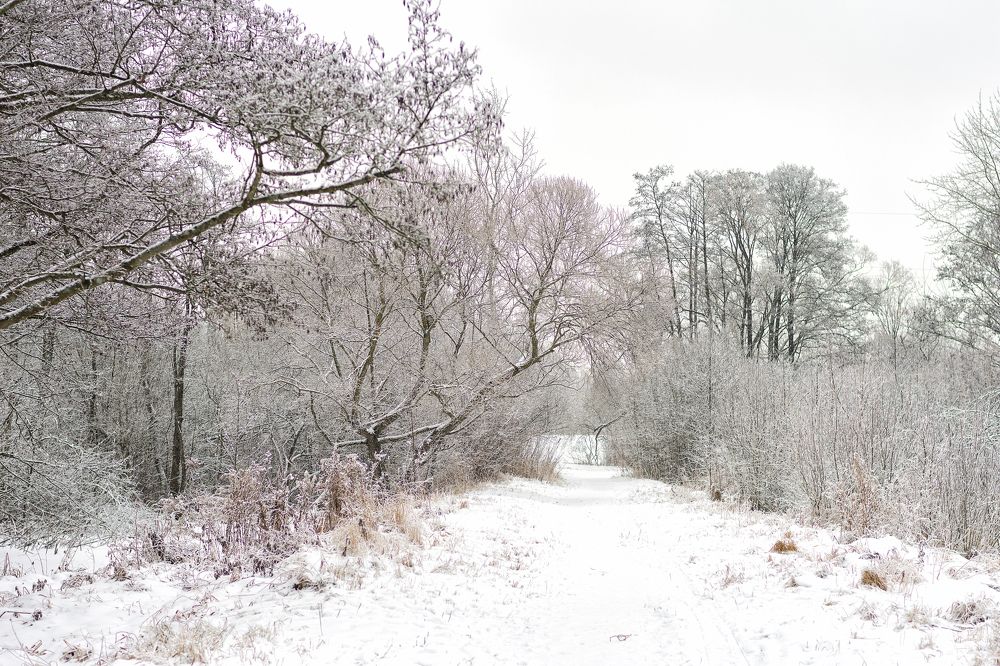 Photograph by Елена Стещенко