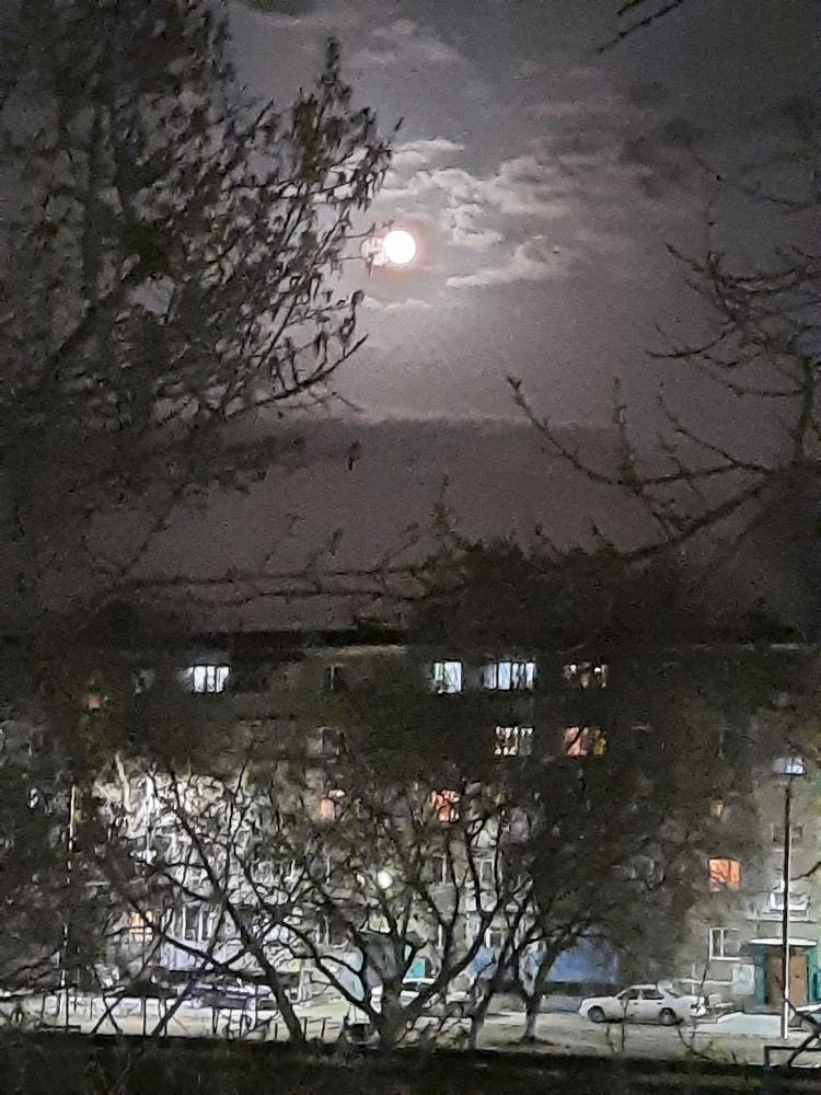 Photograph by Евгения Бродт
