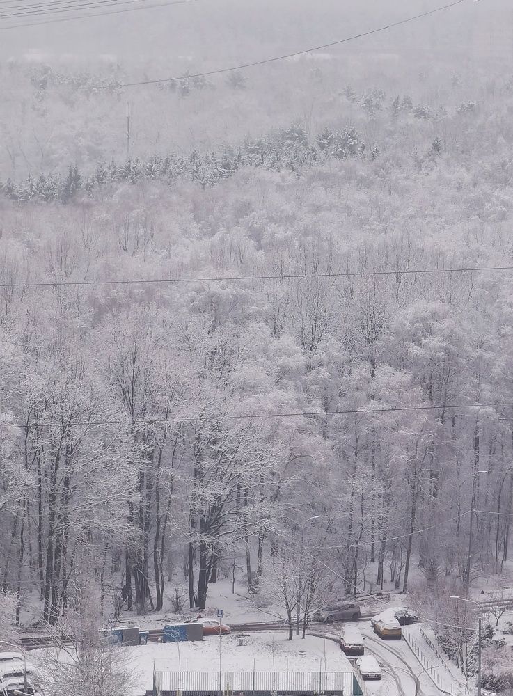 Photograph by Ольга