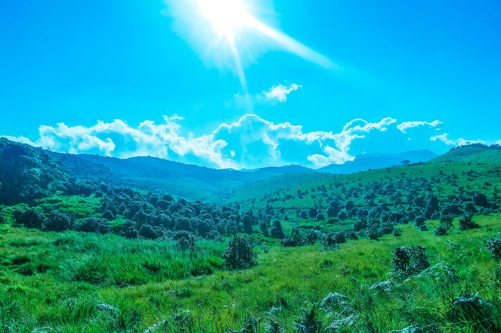 Фотография автора Pallegama Gamage Ruwan Sampath