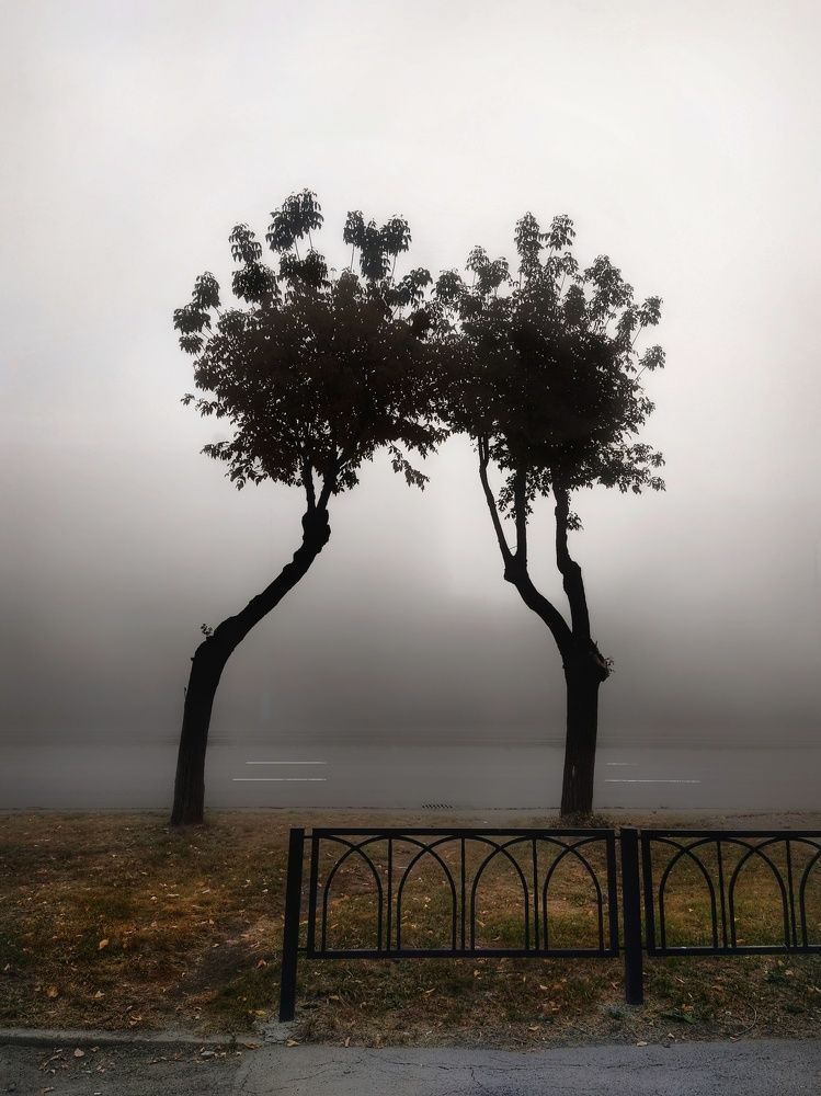 Болек и Лёлек