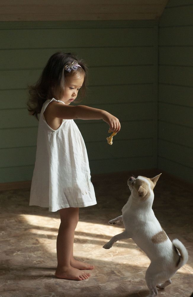 Photo #7146473