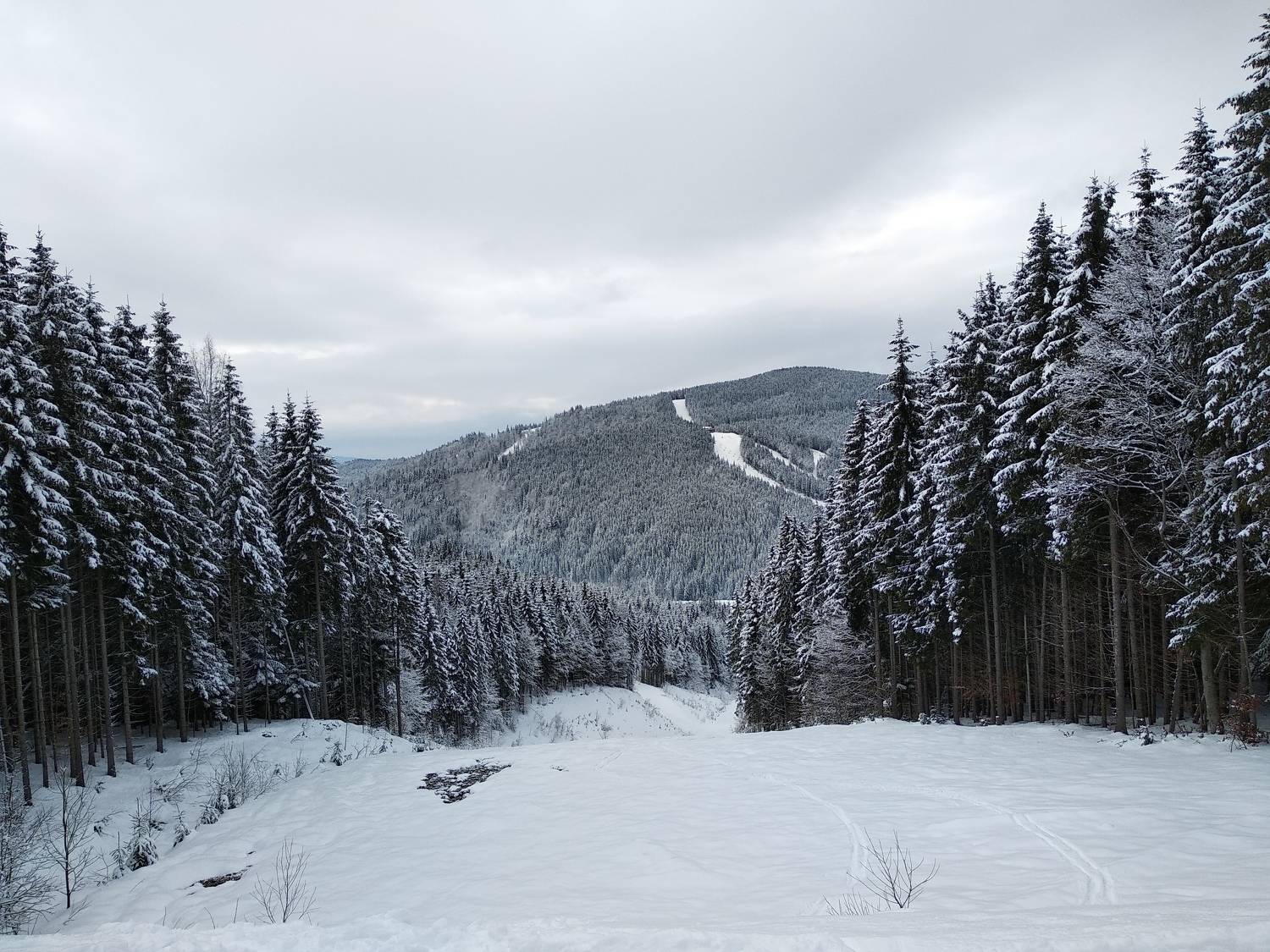Photo #7146527