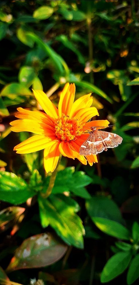Photograph by Ruchika Kalangutkar