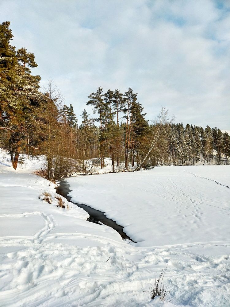 Photograph by Федорова Мария